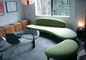 Freeform moderne klassische Sofa-Replik-lederne geschnittenOsmane Noguchi fournisseur