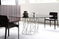 Isamu-Wirbelsturm-moderne Esszimmertische metallhaltig für Wohnzimmer-multi Farben fournisseur