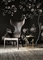 Anthropomorphous Lou las Lehnsessel durch optionale Philippe Starck-Farbe fournisseur