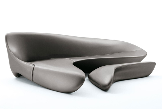 China Moon geformtes modernes klassisches Sofa-/Halbmond-System-Sofa Zaha Hadid fournisseur