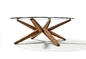 Glasplatte-strenge runde Metallcouchtisch-festes Holz-moderne Hauptmöbel fournisseur