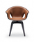 Replik-Fiberglas Poltrona Frau Ginger Chair entwarf durch Roberto Lazzeroni fournisseur